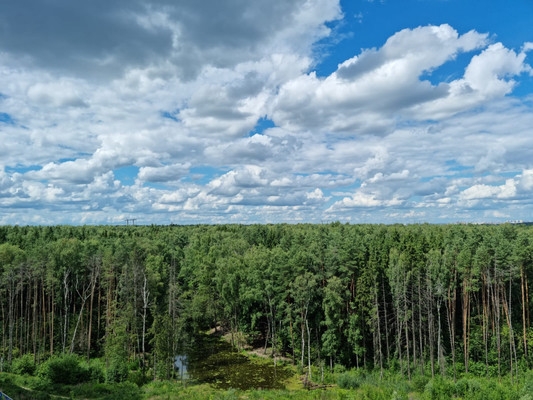 Фото квартиры по адресу Московская обл, Одинцово г, Кутузовская ул, д. 33